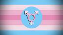 Discovery splash banner for Transfem Hangout Discord server