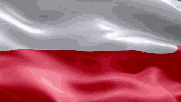Discovery splash banner for Polish Community v2 Discord server