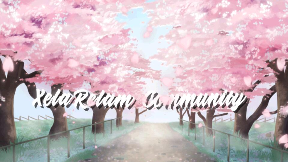 Discovery splash banner for XelaRelam Community~Coding, Revolutionizing the future of Programming and Roblox Developers! Discord server