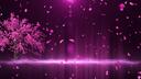 Discovery splash banner for ISHQ🌷India | Indian Discord server • Make friends • hindi  •  vc  • discord india Discord server