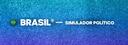 Discovery splash banner for 🇧🇷🎗BRASIL® — Simulador Político Discord server