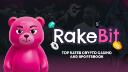 Discovery splash banner for Rakebit Discord server