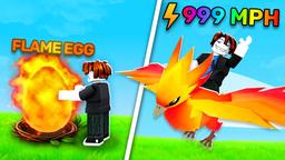 Discovery splash banner for Ride A Pet Community Discord server