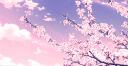 Discovery splash banner for Carbon Hub Discord server