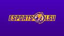Discovery splash banner for Esports LSU Discord server