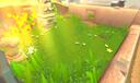 Discovery splash banner for Haven Discord server