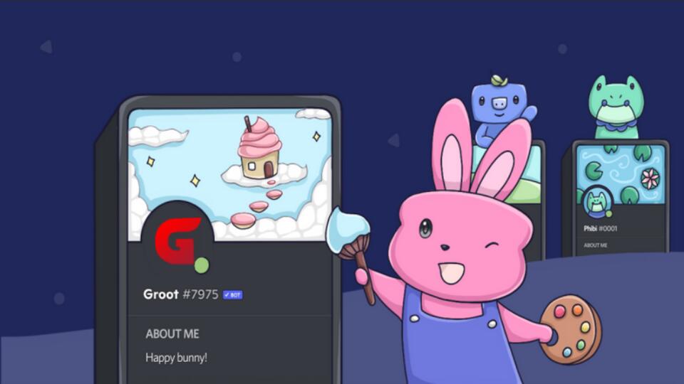 Discovery splash banner for Groot Support Discord server
