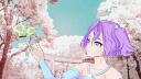 Discovery splash banner for Cindocu Discord server