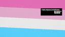 Discovery splash banner for Femboy Sanctuary Discord server