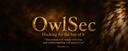 Discovery splash banner for OwlSec Discord server