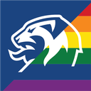 Discovery icon for Norsk Fotball Discord server