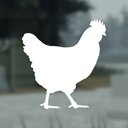 Discovery icon for Hen Development™ 🐔 Discord server