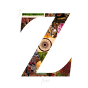 Discovery icon for The Z Tribe Discord server