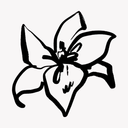 Discovery icon for Whimsical Studio - Roblox Studio #7K Discord server