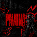 Discovery icon for Pavuna Community #2000 Discord server